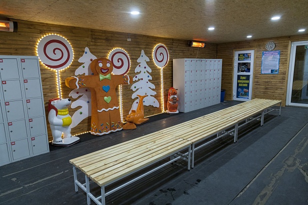 Ice skating rink "The best" (Kamenskoe)